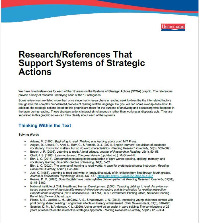 Research/References That Support Systems of Strategic Actions